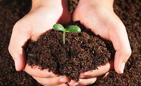 土壤環境調查及評估（場地調查）