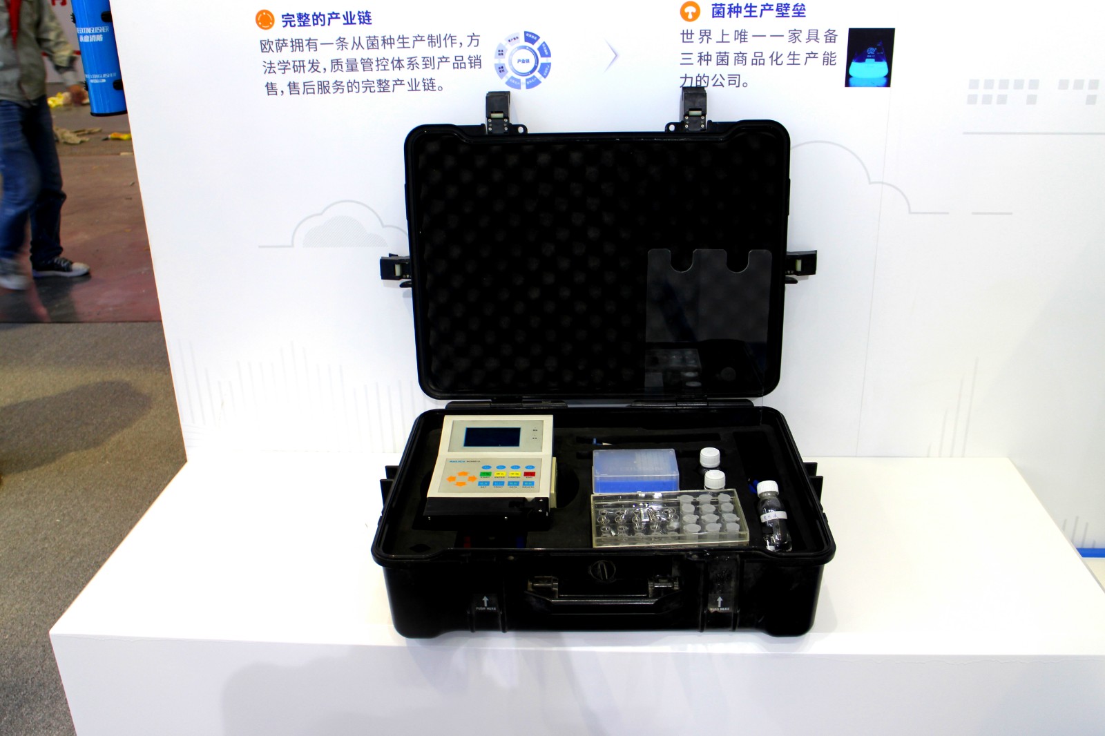 IMG_6527.JPG IMG_6527.JPG